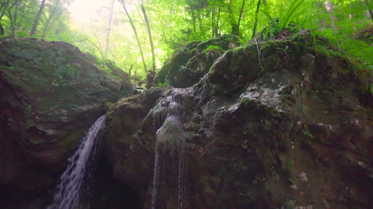 Hidden Waterfall in Lush Forest