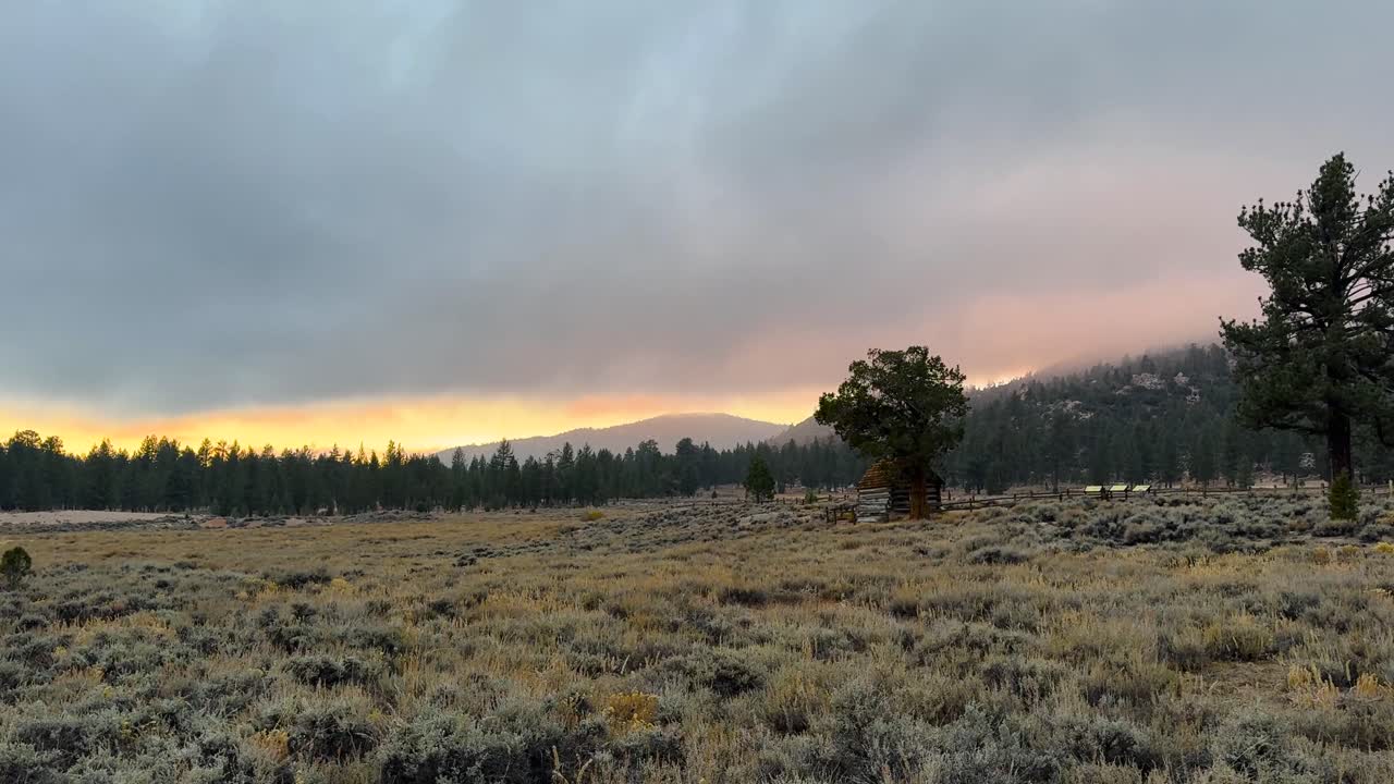 Kabin kayu kecil yang dibangun di Big Bear, California, di tengah dataran yang dikelilingi pohon pinus saat matahari terbenam yang berkabut. Gambar statis.