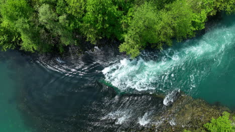 Bird's-eye-view-of-a-green-river-cutting-through-a-thick-forest,-showcasing-the-vibrant-colors-of-early-spring