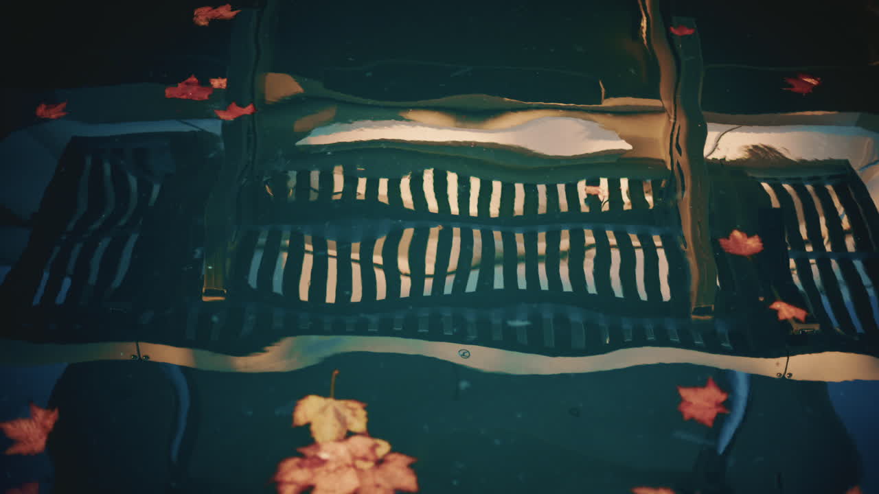 Fallen leaves drifting on water while a fence and structures reflect beneath the surface