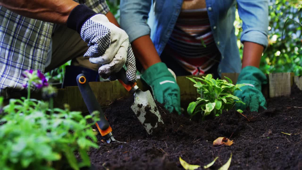 plantas de siembra de la pareja senior