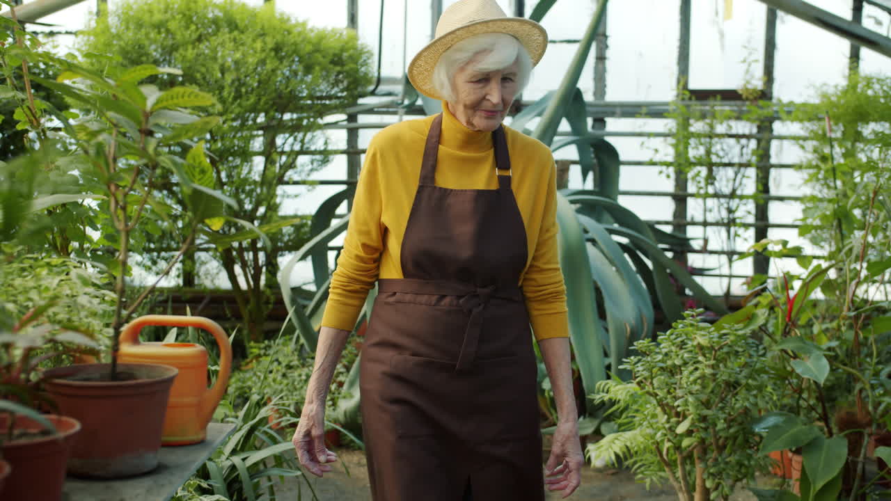 Senior Woman Gardener in a Greenhouse