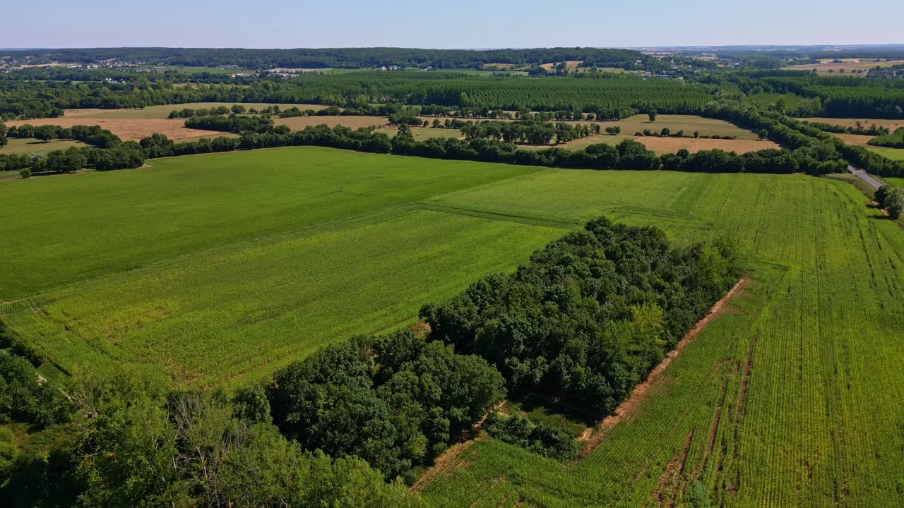 Drone panorama near the agricultural fields with green crops and tree lines near Chinon, Indre-et-Loire, France