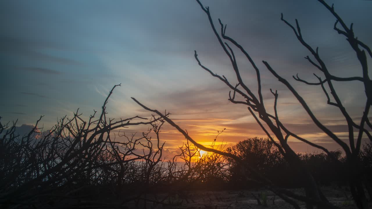 모래 해안선과 죽은 식물 위로 황금빛 일몰, 시간 경과 보기