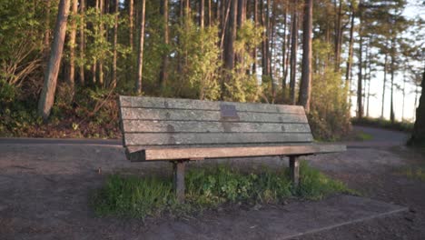 Banco-De-Madera-Vacío-Con-árboles-En-Segundo-Plano.