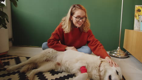 mujer joven cuidando a un perro herido en casa