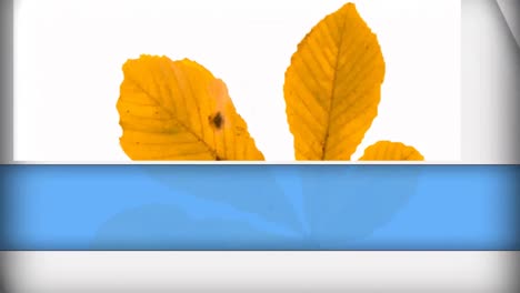 Animation-of-blue-and-white-shapes-over-big-yellow-leaf