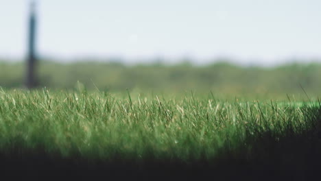 Raindrops-fall-down-on-lush-lawn-grass-on-spring-day