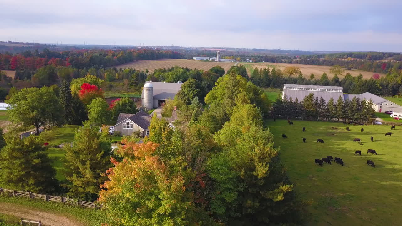 목가적인 시골 환경에서 가축 농장 위로 날아가는 경치 좋은 공중 전망