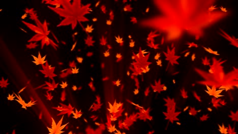 spin of autumn leaves,maple,cg animation,loop