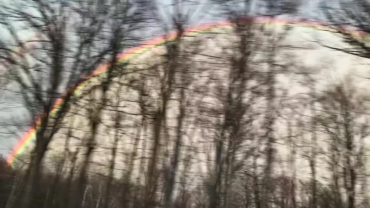 Perfect Rainbow from a moving car and through trees