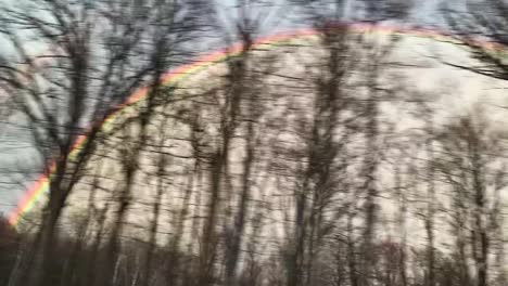 perfect rainbow from a moving car and through trees