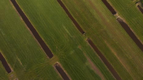 Top-down-zoom-out-from-a-Holland-landscape:-polder