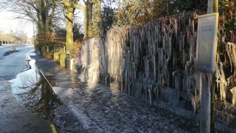 Einzigartige-Gefrorene-Eiszapfenbildung-Auf-Britischer-Bushaltestellenweghecke-Nach-Winterschneesturm