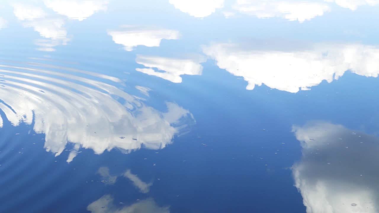 물의 표면을 따라 흐르는 원