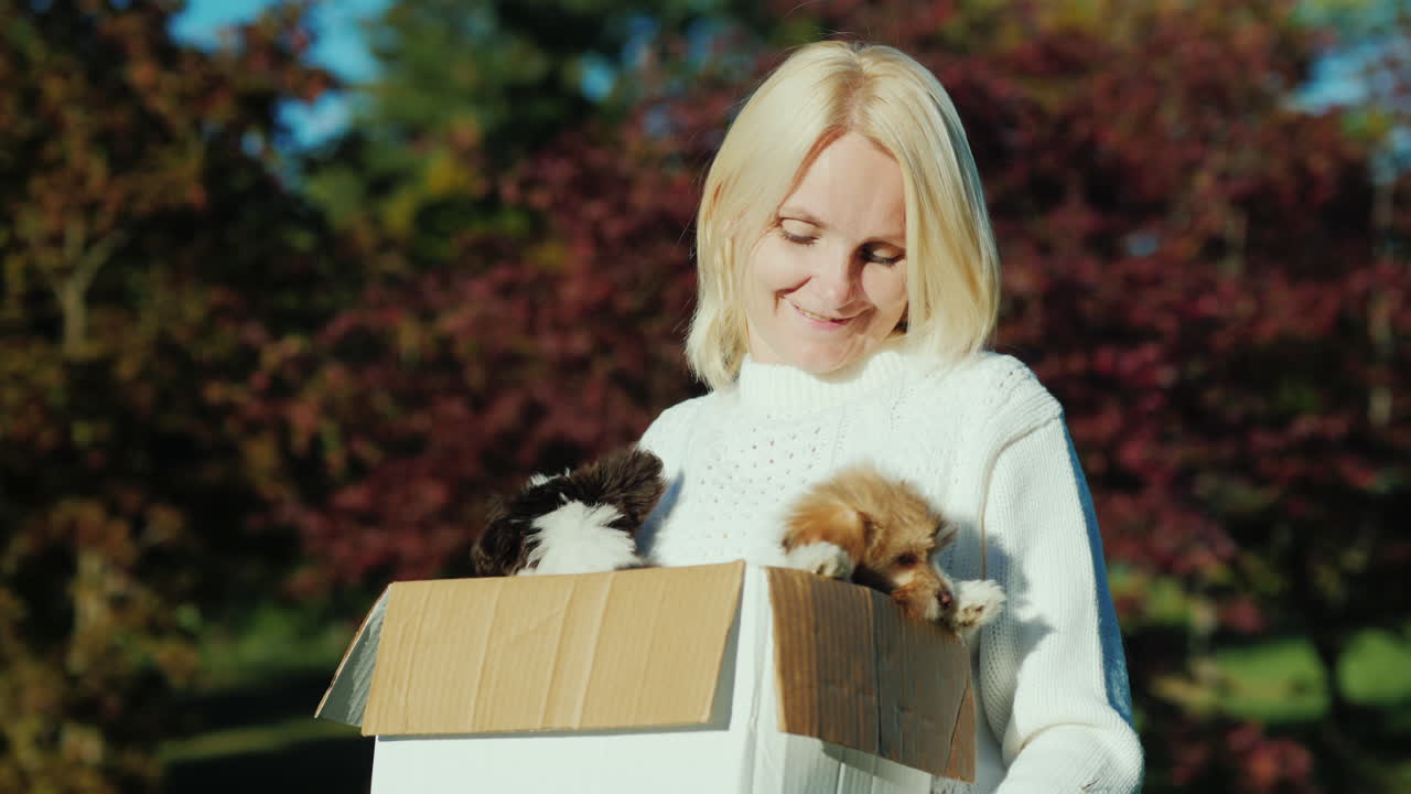 женщина держит коробку со щенками