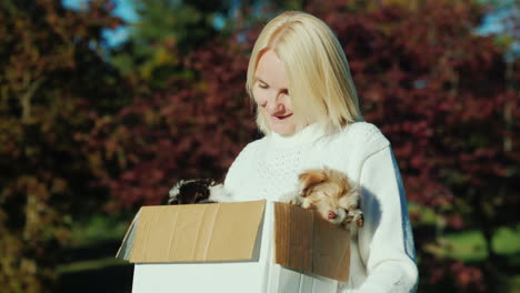 woman holding box of puppies