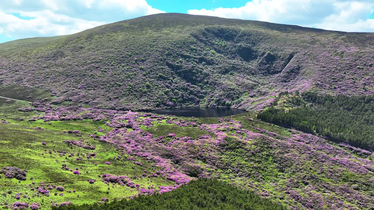 irlanda lugares épicos dron volando al lago con dramáticos colores de verano bahía lough en las montañas knockmealdown naturaleza salvaje