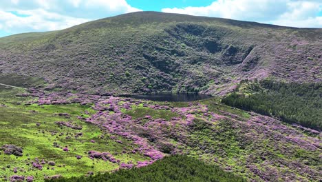 Irlands-Epische-Orte,-Drohnenflug-Zum-See-Mit-Dramatischen-Sommerfarben,-Bay-Lough-In-Den-Knockmealdown-Mountains,-Wilde-Natur