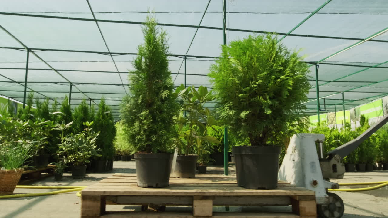 Gardening in a Greenhouse