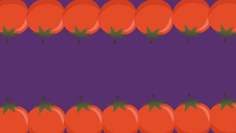 animation of two rows of red tomatoes moving at top and bottom of purple background