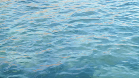 crystal clear sea water on sunny day top view, static close high angle