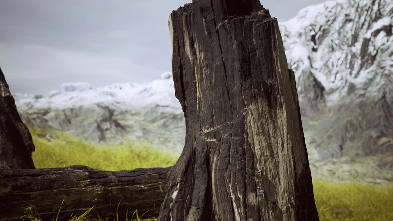Majestic mountain landscape with old tree stump in foreground