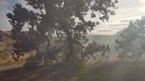 Smoke-blowing-through-the-Utah-wilderness