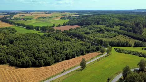 aerial shot of curvy country road surrounded by fields and trees