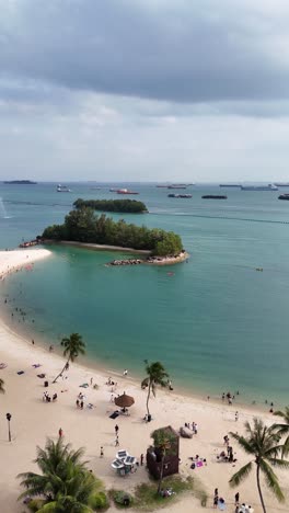 Sentosa-Island-Aerial-View,-Singapore---Tropical-Beach-and-Palm-Trees,-vertical