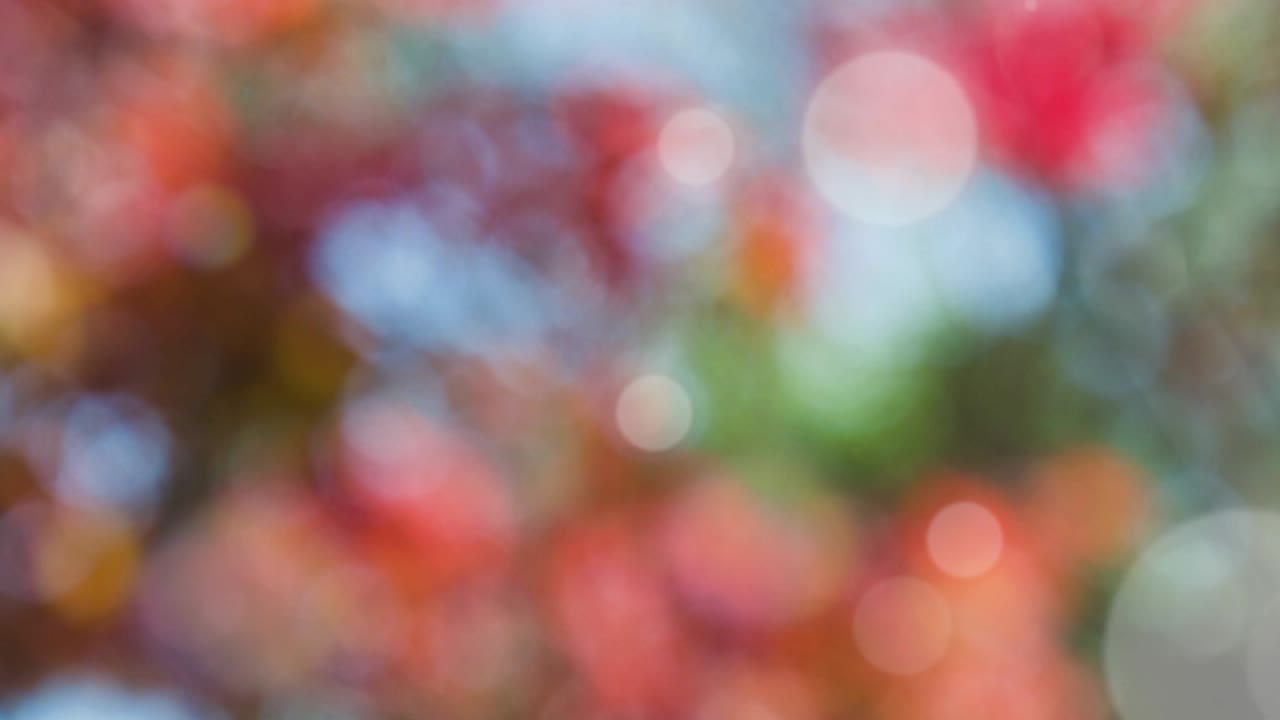 보케와 함께 추상적인 스프링 배경