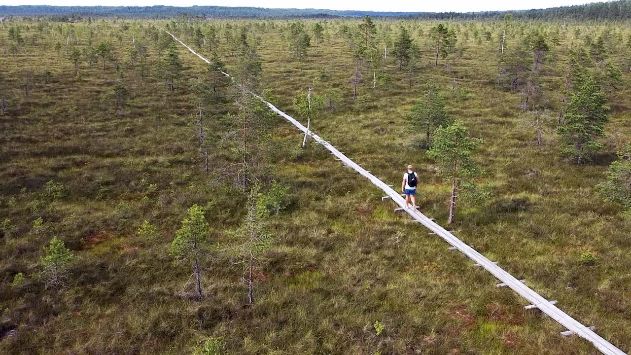 одинокий мужчина идет по дощатому тротуару в широком и пустом болотистом поле летом