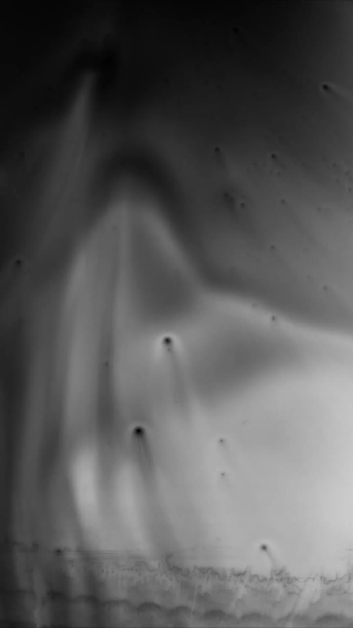Ethereal Black and White Ink Swirls and Patterns Flowing