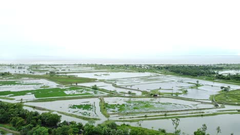 Como-Resultado-De-Las-Fuertes-Lluvias,-Varios-Campos-De-Bengala-Occidental-A-Lo-Largo-De-Las-Orillas-Del-Ganges-Quedaron-Sumergidos