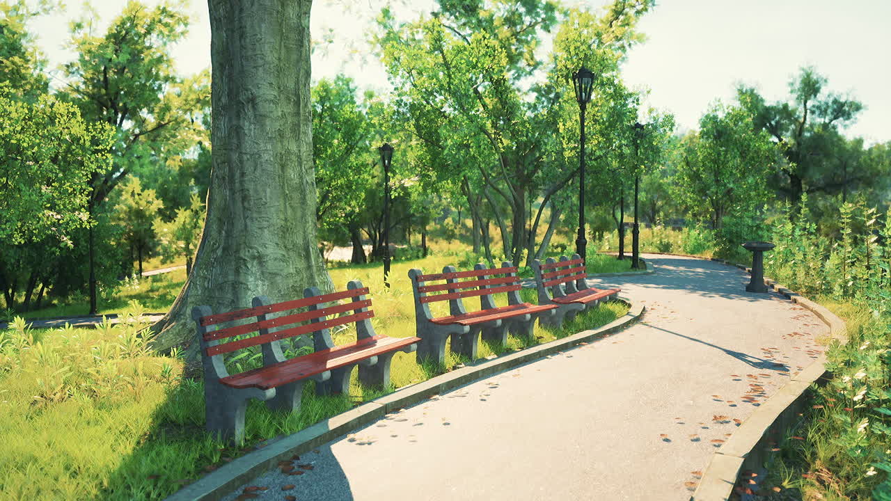 緑豊かな都市空間にある、木陰のベンチが並ぶ日当たりの良い公園の小道。