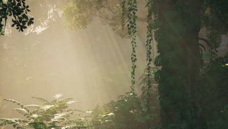 sunlight filtering through a lush jungle