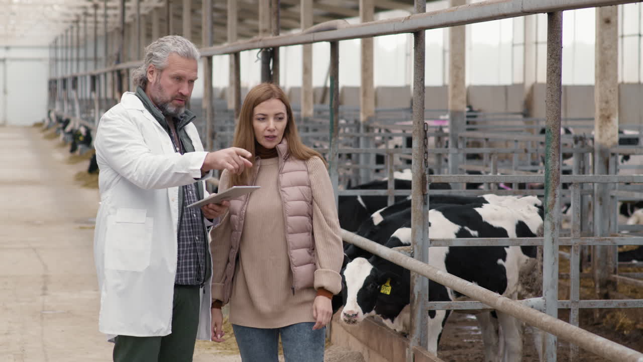 Man in Lab Coat Inspecting Cattle Farm