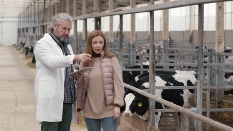 man in lab coat inspecting cattle farm