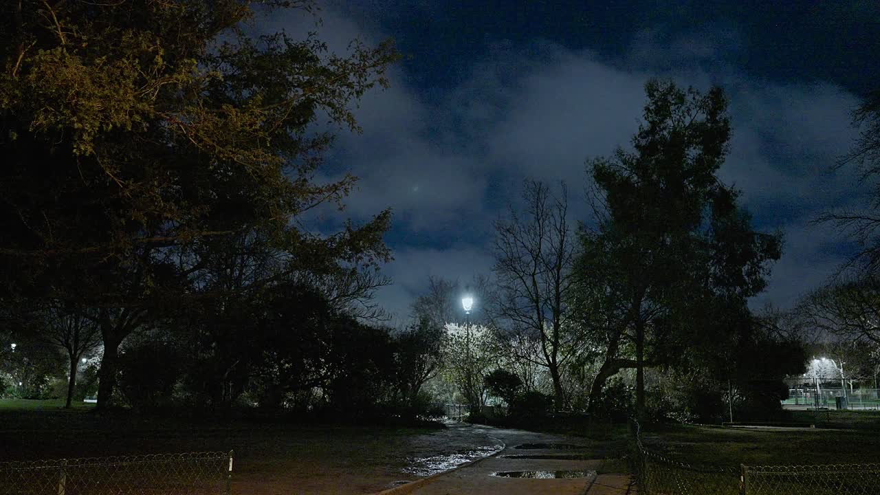 Farola en el parque de noche, París, Francia, Europa.
