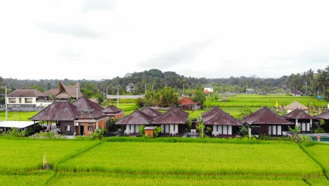 small traditional balinese huts nestled amidst the rice paddies