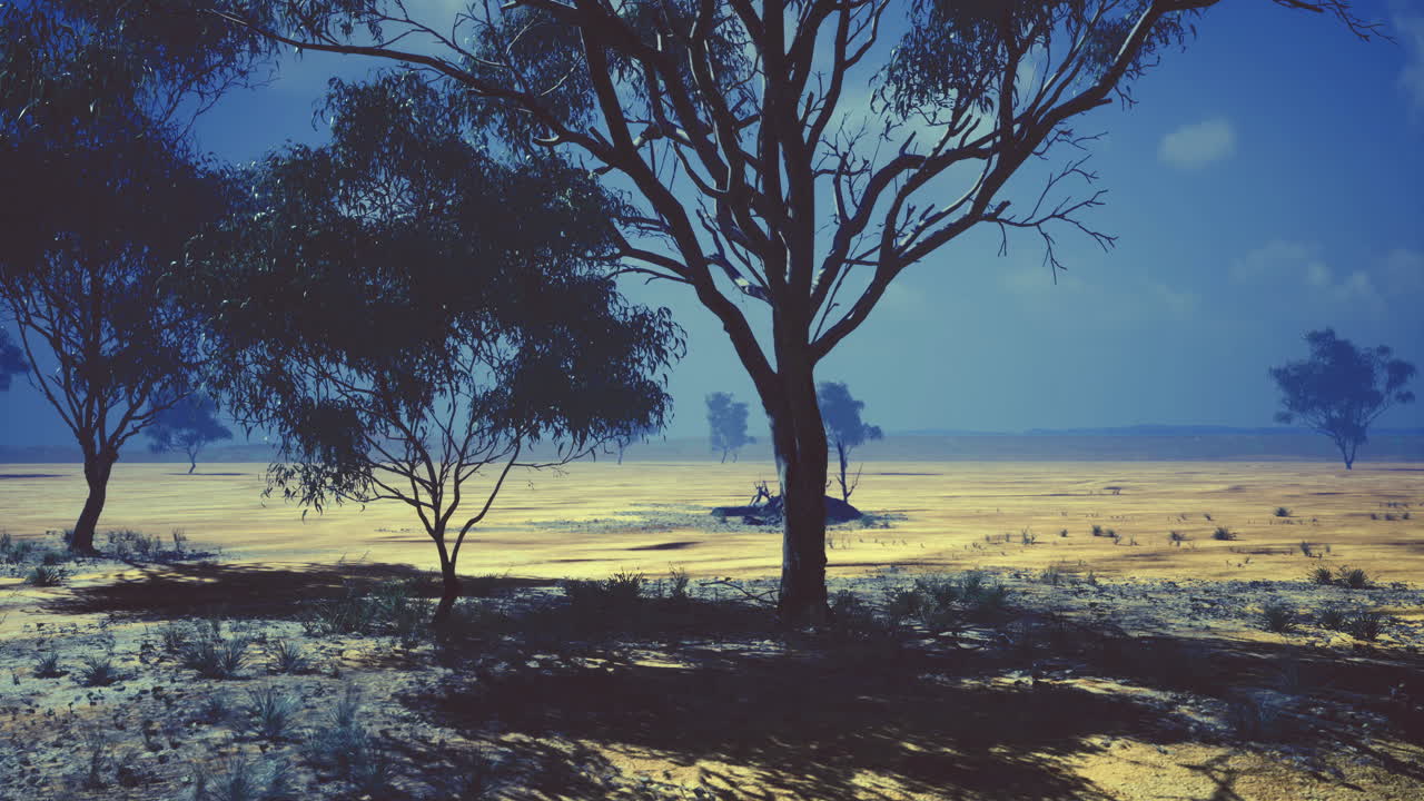 Tranquil dusk over a vast landscape with silhouettes of australian eucalypts