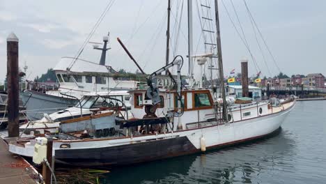 fishing boat anchored on the port in daytime in florence, oregon