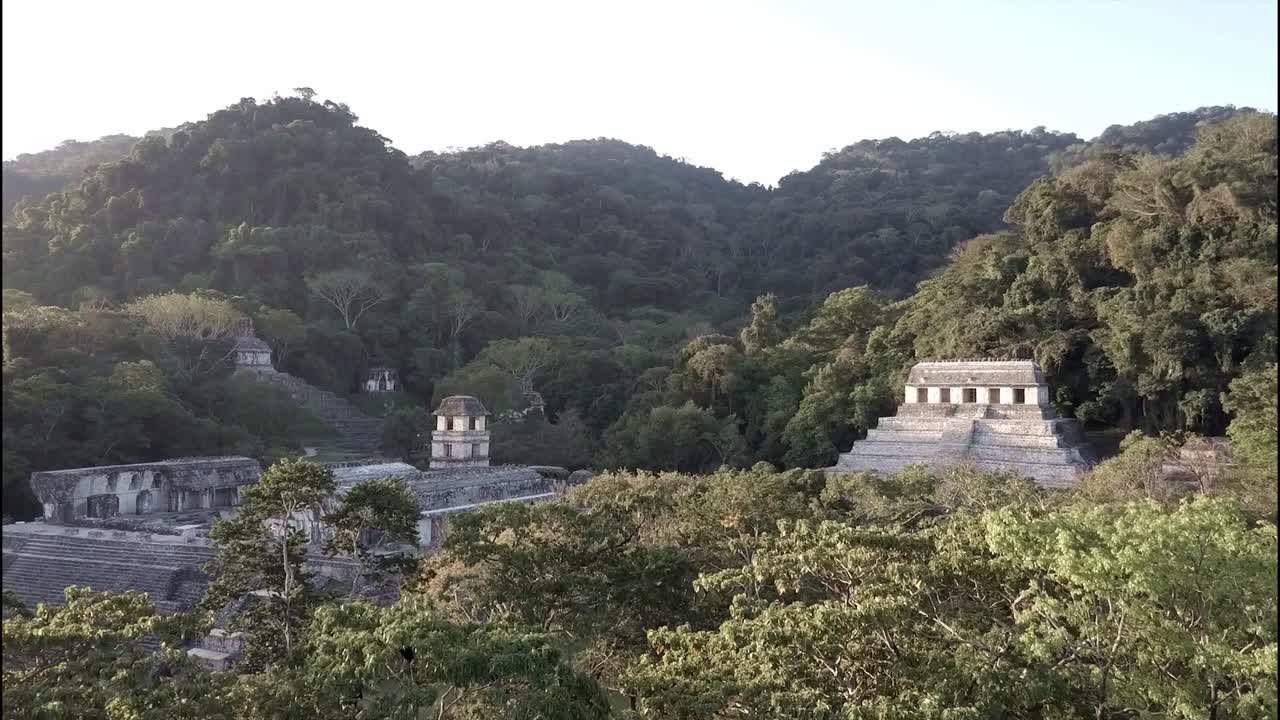 멕시코의 팔렝케 마야 피라미드에 대한 조감도