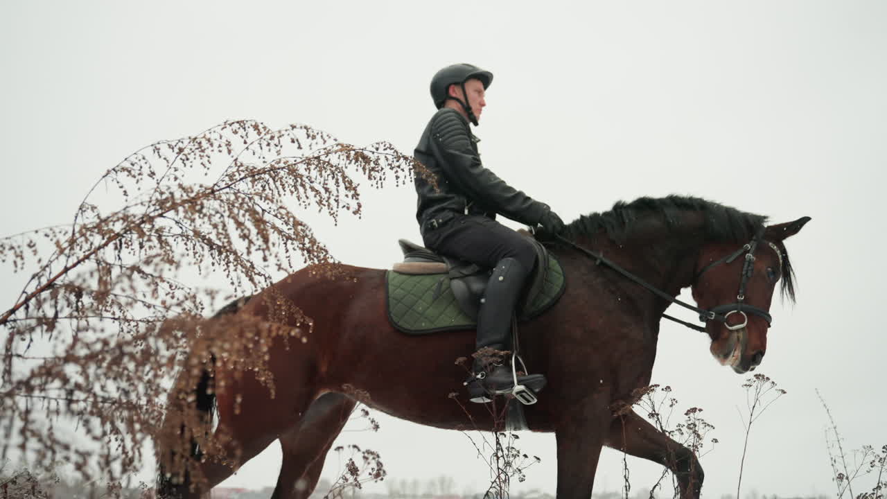Белый всадник ведет лошадь рысью сквозь высокую траву, отрабатывая равновесие и ритм, под руководством тренера, видны седло и стремена, динамичная рысь, зимний холод, интенсивность тренировки, атмосфера совместного обучения, сельская местность.