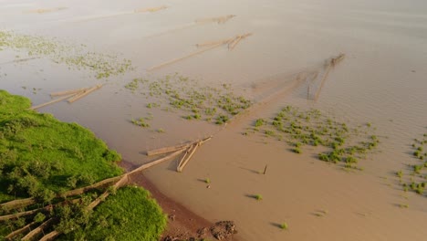 Arrow-head-fish-nets-in-muddy-waters-on-the-Tonle-Sap-shore-line,-Asias-biggest-inland-lake,-Cambodia