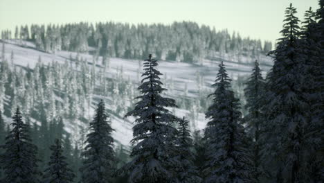 Wunderschöne-Winterlandschaft-In-Den-Bergen