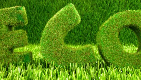 Letters-on-the-green-grass.-Eco-concept-background.