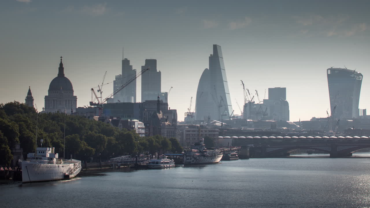 작은 오이 아침 4k 03