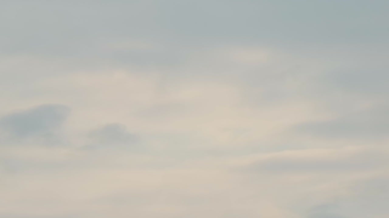 해가 지는 하늘을 향해 날아다니는 포식자 새의 실루 ⁇