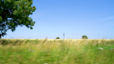 the beautiful green english british countryside passing by out the side of a car driving down the scenic country roads in slow motion showing wheat fields and the farmland of the uk gloucestershire